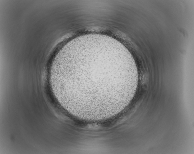 X0000113040591200910081213