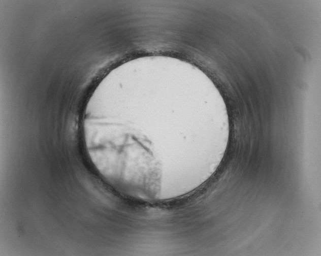 X0000113040592200910081213