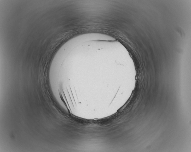 X0000113040593200910081213
