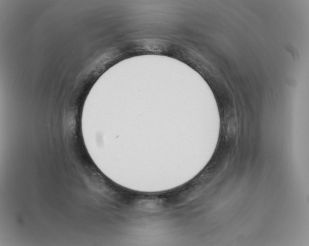 X0000113040595200910081213