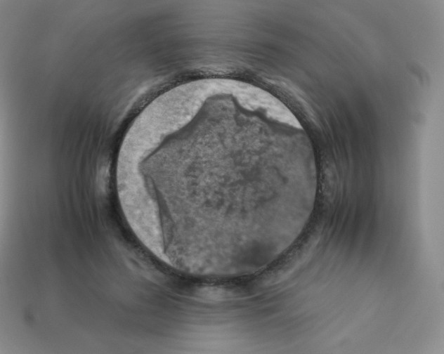 X0000113040596200910081213