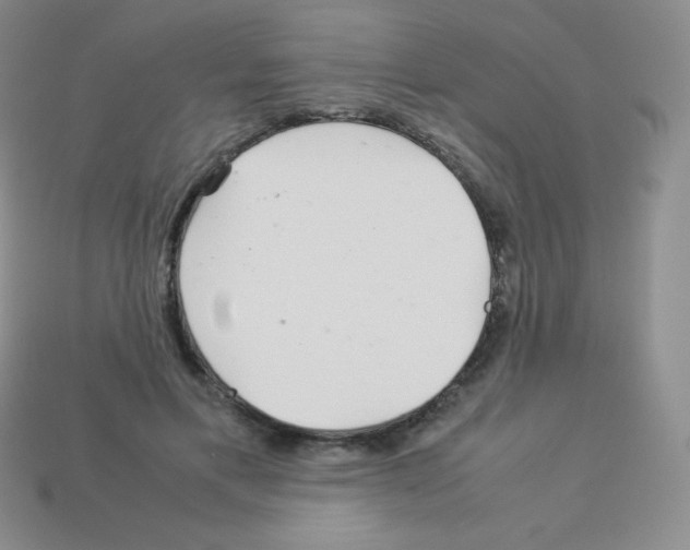 X0000113040597200910081213
