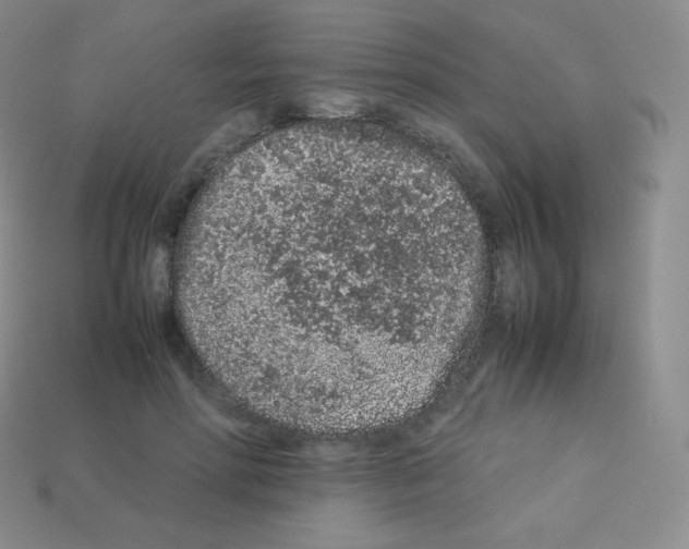 X0000113040598200910081212