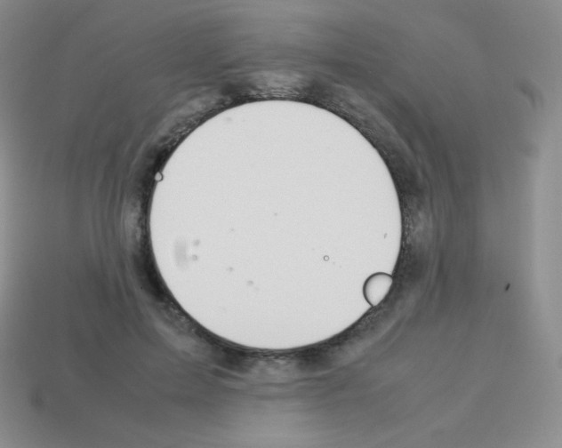 X0000113040599200910081212