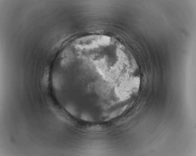 X0000113040600200910081212