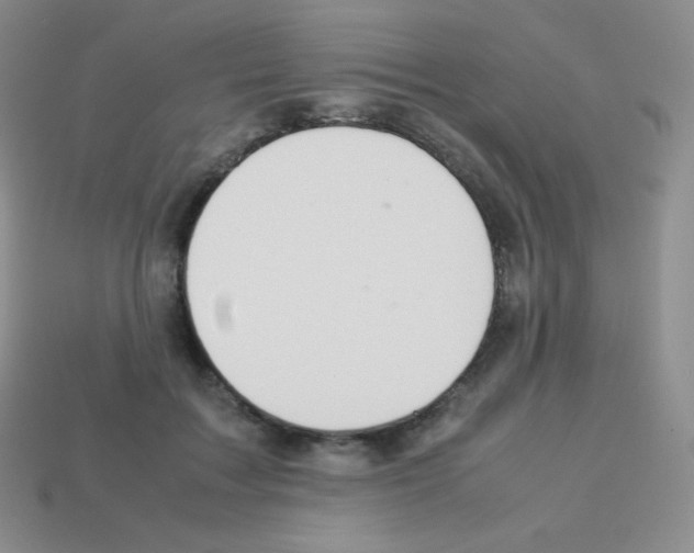 X0000113040603200910081212
