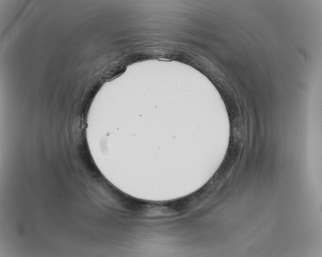 X0000113040605200910081212