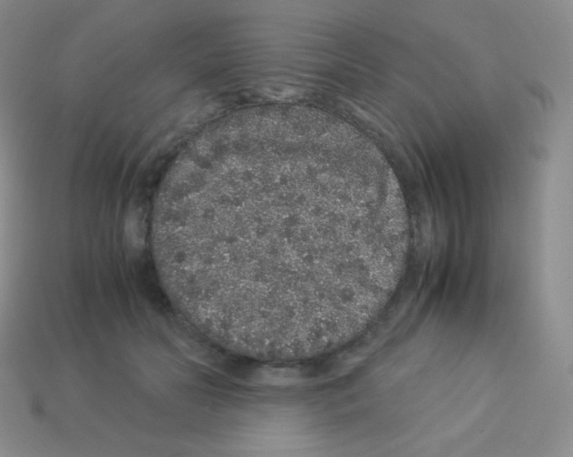 X0000113040606200910081212