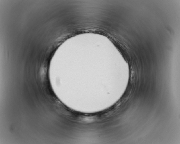 X0000113040608200910081212