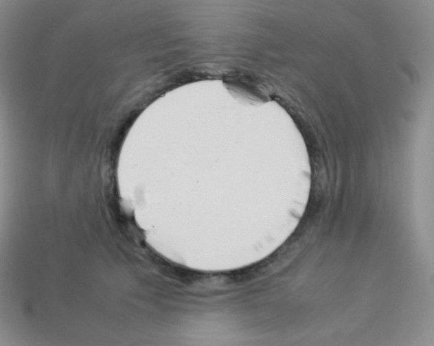 X0000113040609200910081212