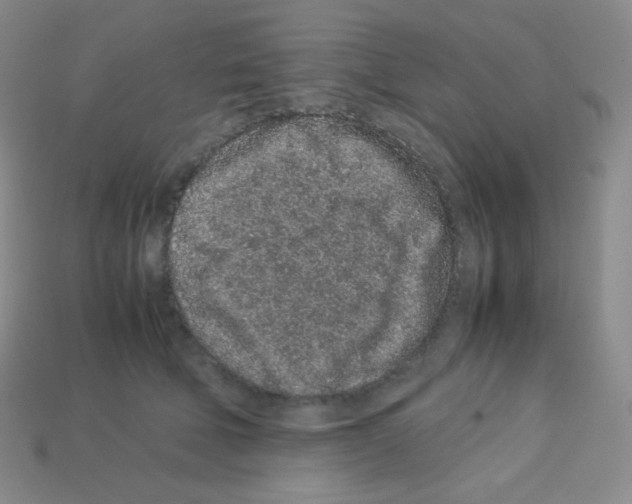 X0000113040610200910081212