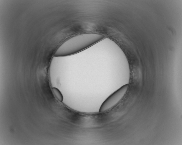 X0000113040611200910081212