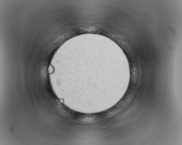 X0000113040612200910081212