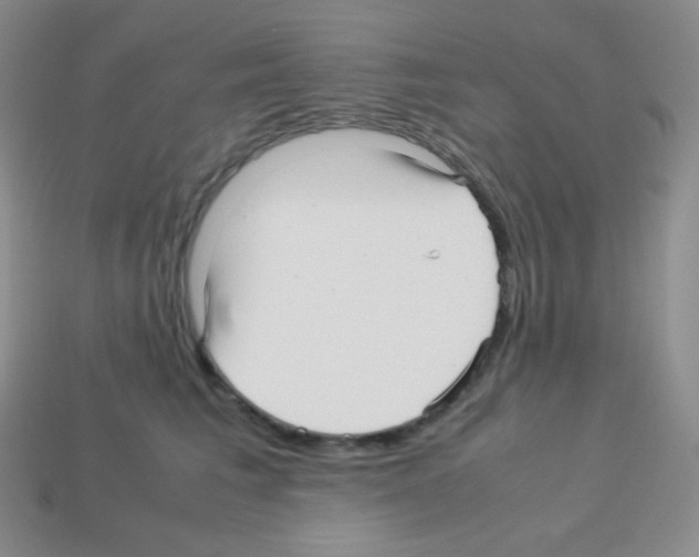 X0000113040613200910081212