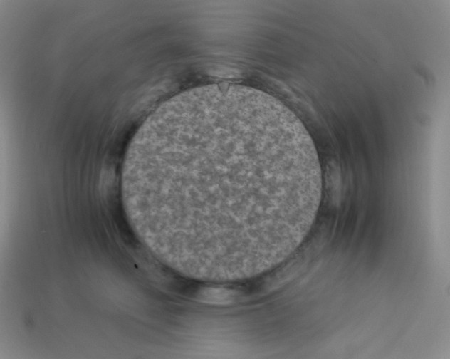 X0000113040614200910081212