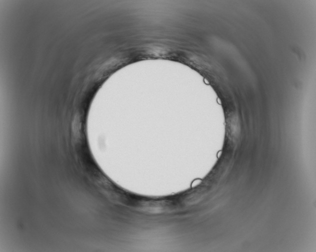 X0000113040615200910081212