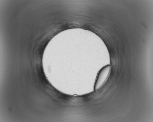 X0000113040617200910081212