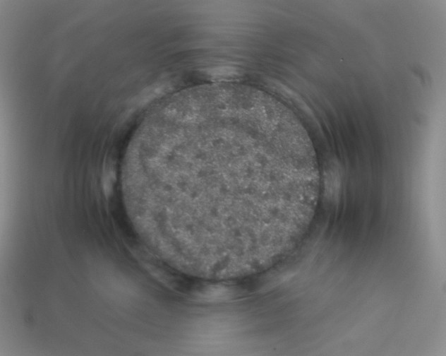 X0000113040618200910081212