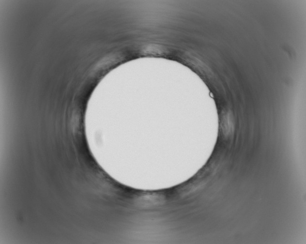 X0000113040619200910081212