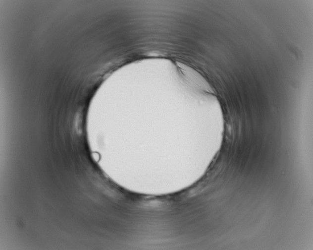 X0000113040620200910081212