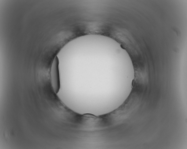 X0000113040621200910081212
