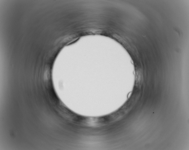 X0000113040623200910081212
