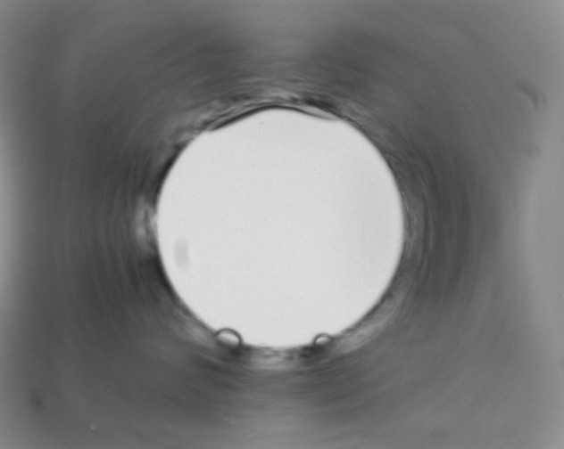 X0000113040624200910081212