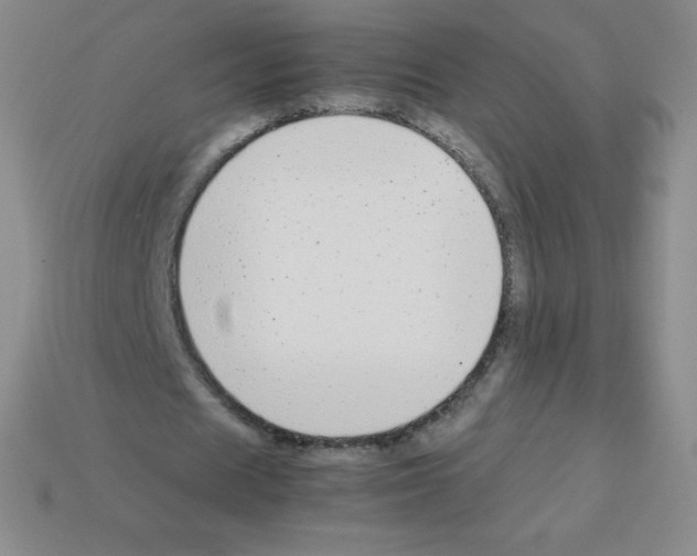 X0000113040625200910081212