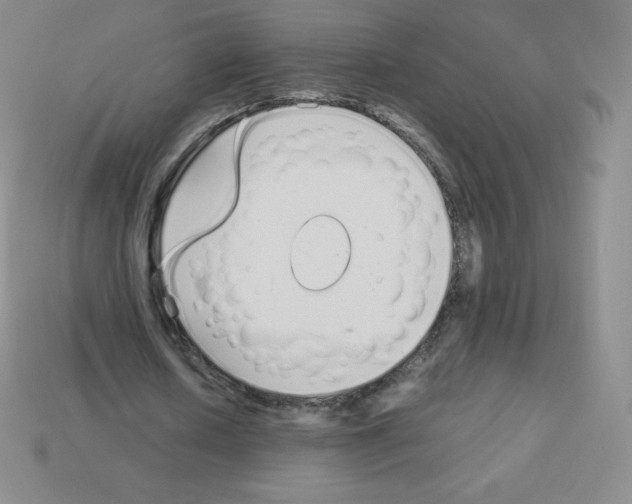 X0000113040626200910081212