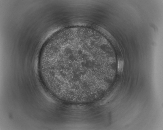 X0000113040627200910081212