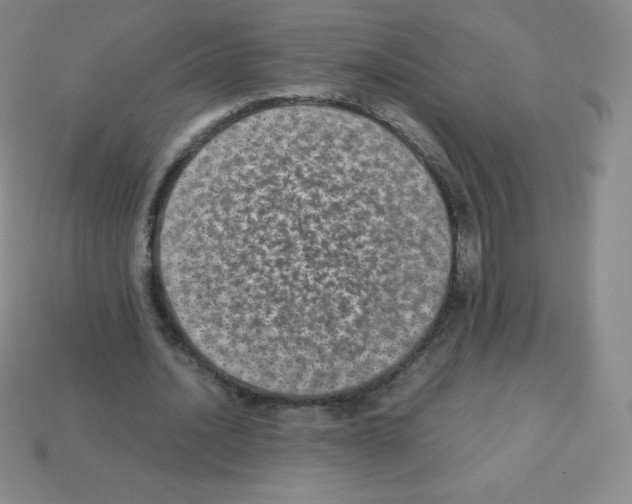 X0000113040628200910081212