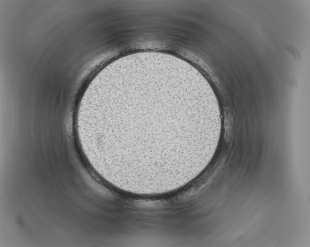 X0000113040629200910081212