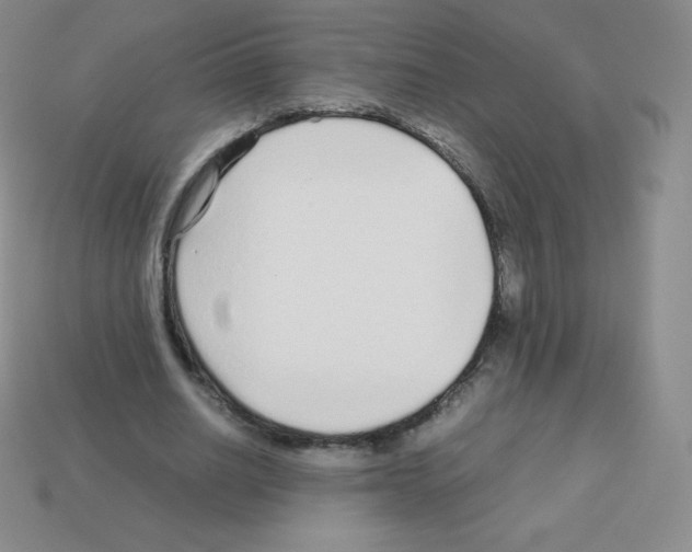 X0000113040630200910081212