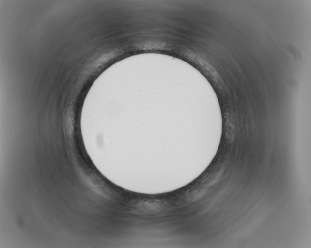 X0000113040631200910081212