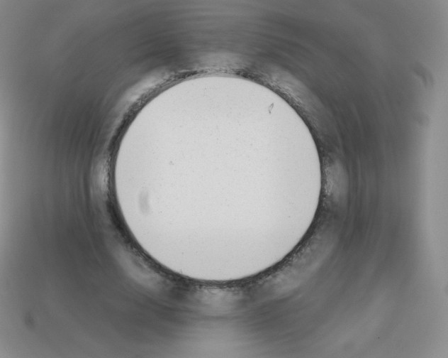 X0000113040632200910081212