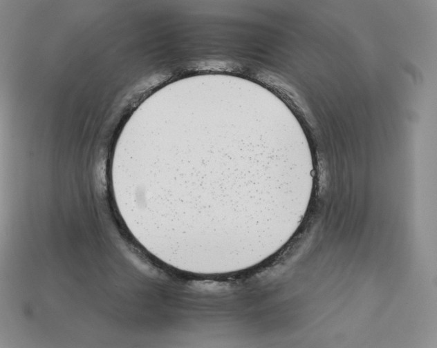 X0000113040633200910081212
