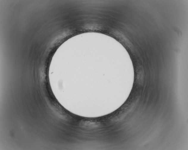 X0000113040635200910081212