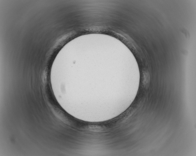 X0000113040636200910081212