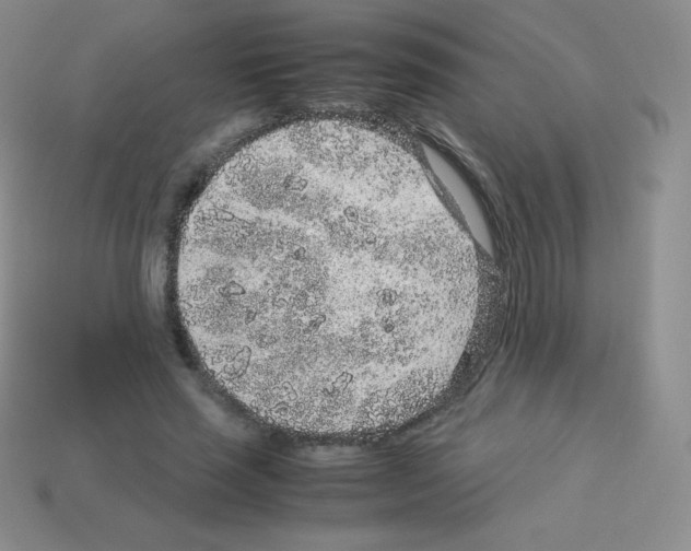 X0000113040637200910081212