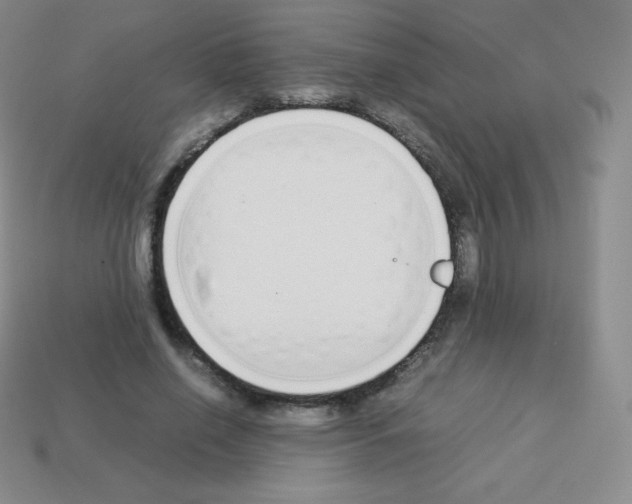 X0000113040638200910081212