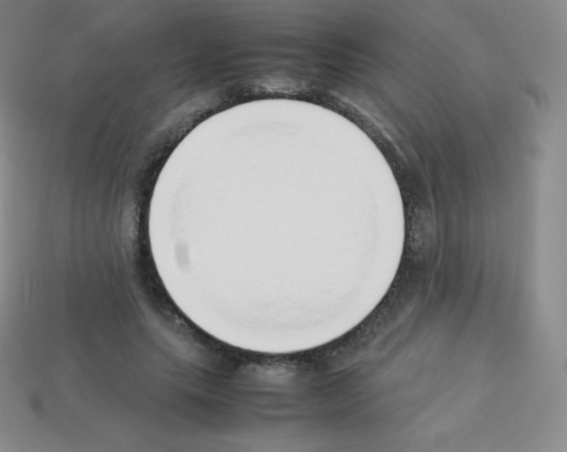 X0000113040639200910081212