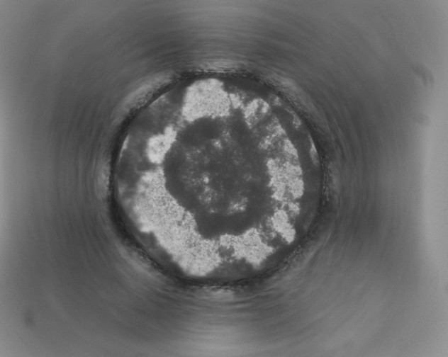 X0000113040640200910081212