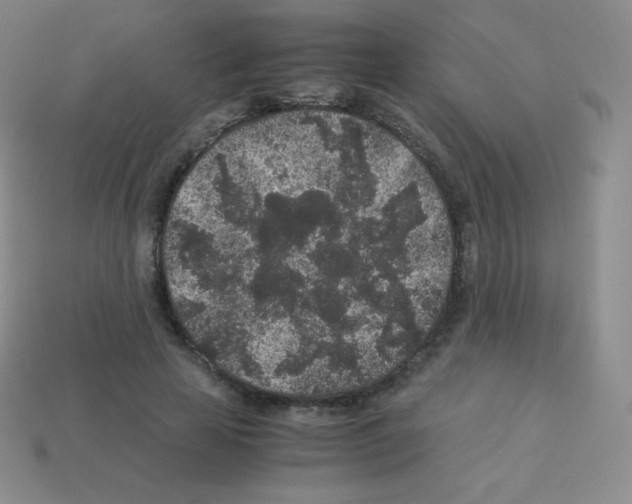 X0000113040641200910081212
