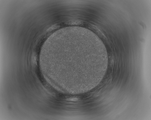 X0000113040643200910081212