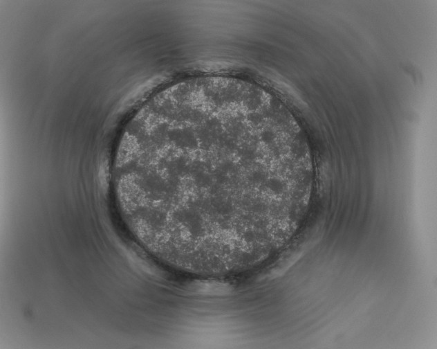 X0000113040644200910081212