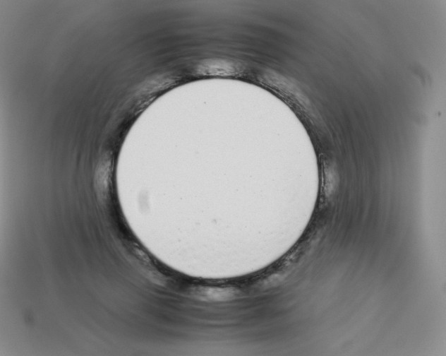 X0000113040645200910081212