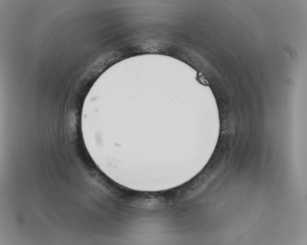 X0000113040646200910081212