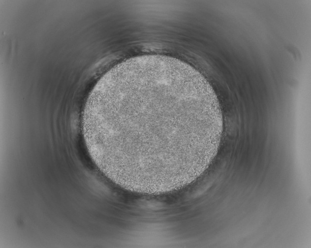 X0000113040648200910081212
