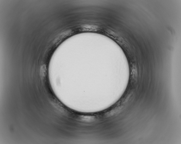 X0000113040649200910081212