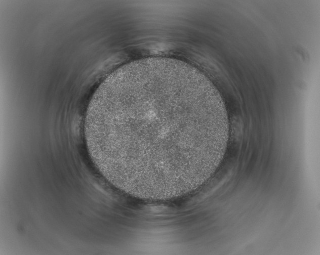X0000113040650200910081212
